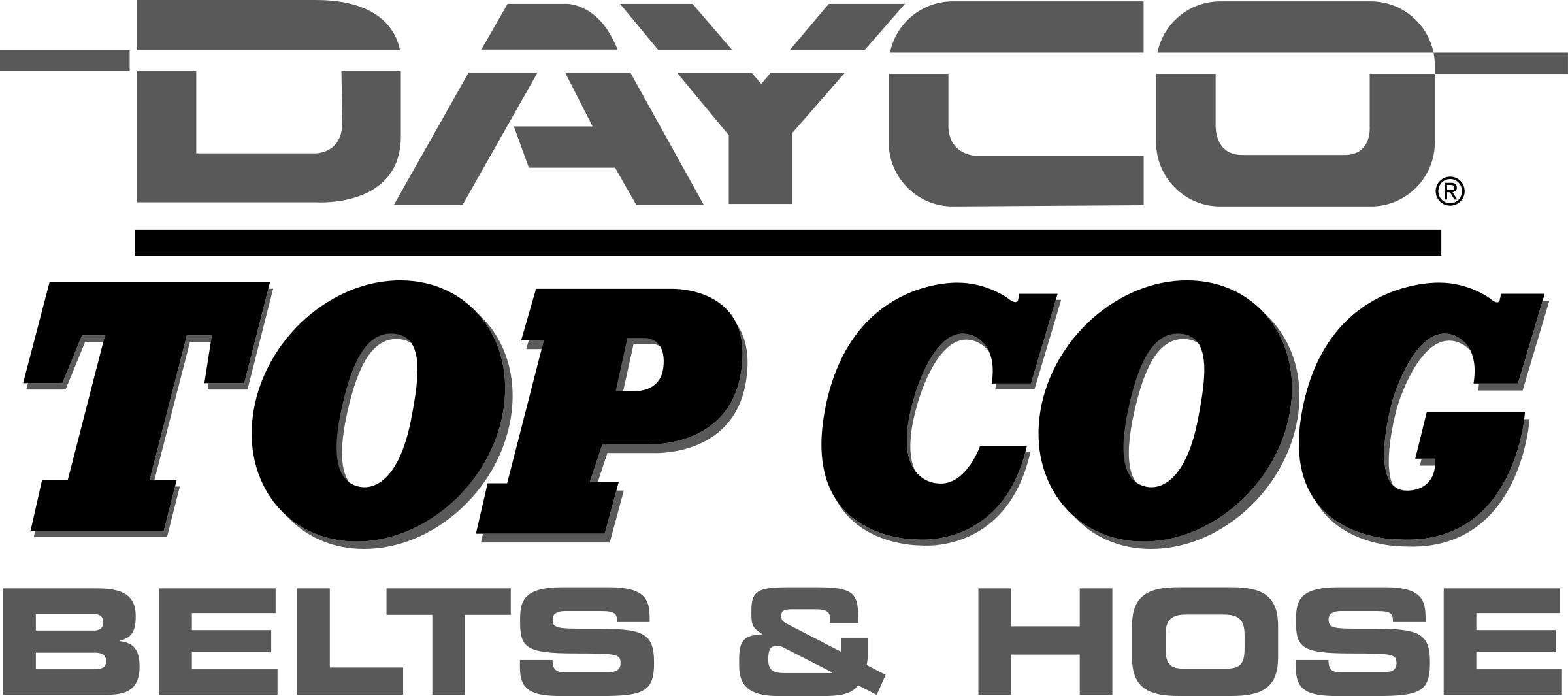 Dayco logo